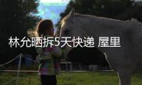  林允晒拆5天快递 屋里快递堆积成山