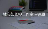  林心如影视工作室注销原因事件始末 林心如是受到赵薇事件的影响吗