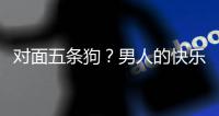  对面五条狗？男人的快乐就是这么简单，当一款回合游戏有了仙府...